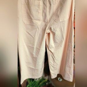 Point Sur Denim J. CREW Pastel Pink